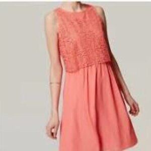 Ann Taylor Loft Coral Pink Overlay Lace Shift Crochet Chiffon Sleeveless Dress,